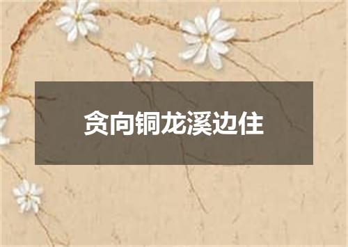 贪向铜龙溪边住