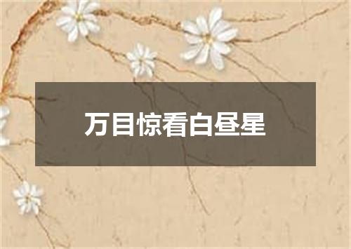 万目惊看白昼星