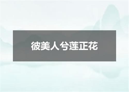 彼美人兮莲正花