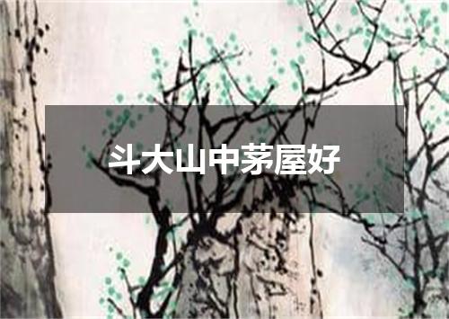 斗大山中茅屋好