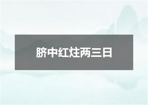 脐中红炷两三日