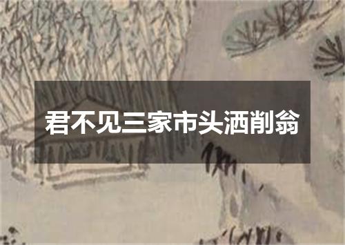 君不见三家市头洒削翁