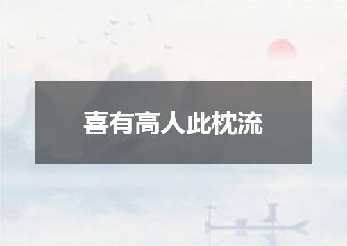 喜有高人此枕流