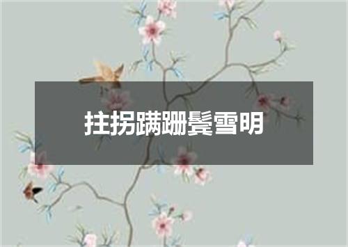 拄拐蹒跚鬓雪明