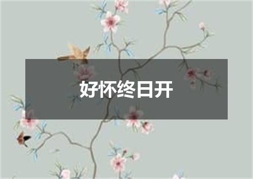 好怀终日开