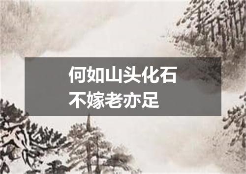何如山头化石不嫁老亦足