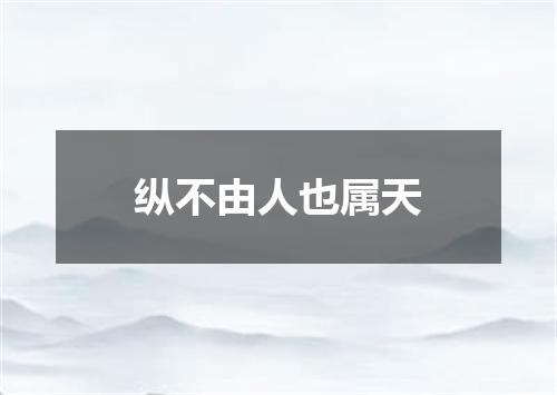 纵不由人也属天