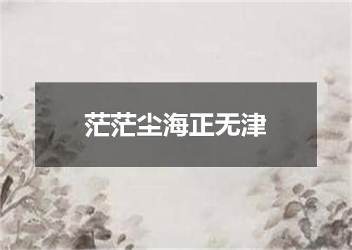 茫茫尘海正无津