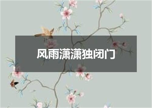 风雨潇潇独闭门