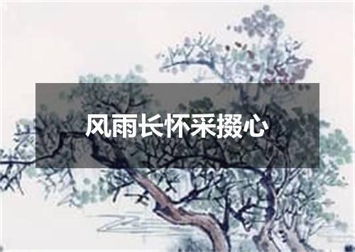风雨长怀采掇心