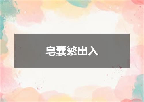 皂囊繁出入