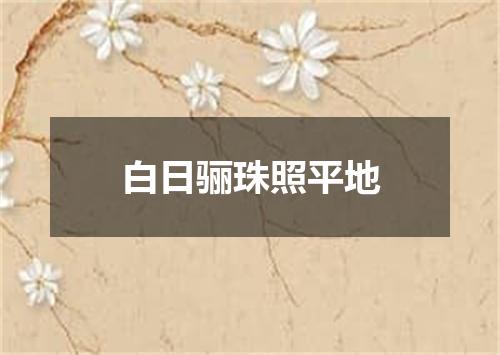 白日骊珠照平地