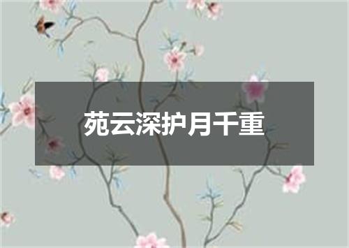 苑云深护月千重