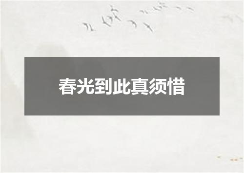 春光到此真须惜