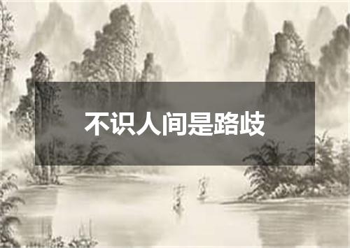 不识人间是路歧