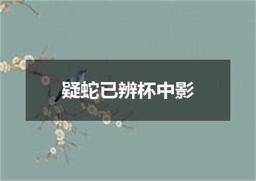 疑蛇已辨杯中影
