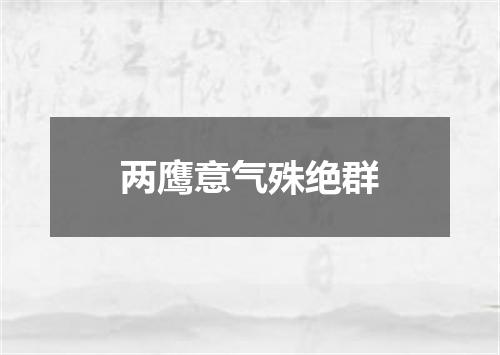 两鹰意气殊绝群