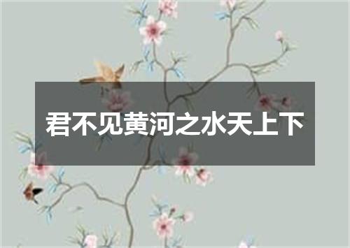君不见黄河之水天上下