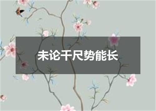 未论千尺势能长