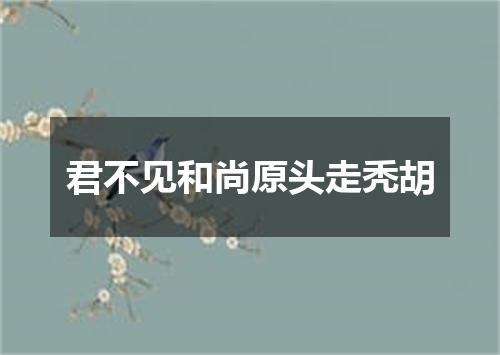 君不见和尚原头走秃胡
