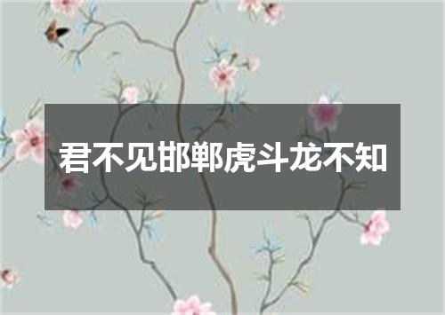君不见邯郸虎斗龙不知