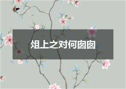 俎上之对何囱囱