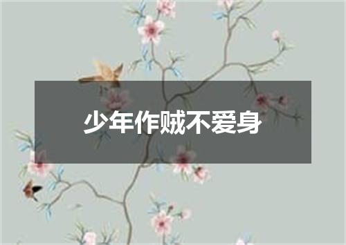 少年作贼不爱身