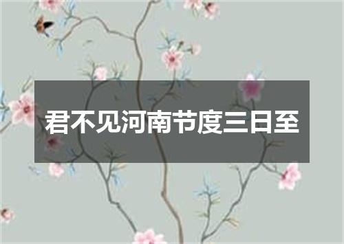 君不见河南节度三日至