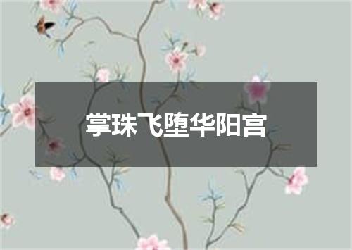 掌珠飞堕华阳宫
