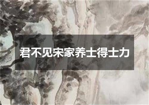 君不见宋家养士得士力