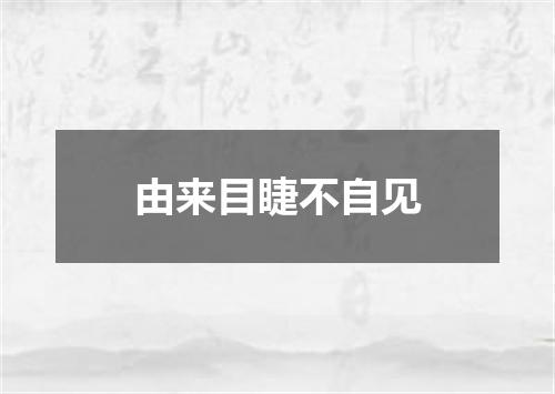 由来目睫不自见