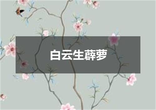 白云生薜萝