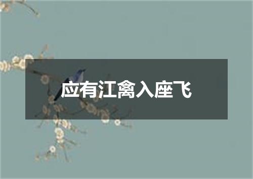 应有江禽入座飞