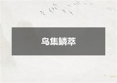 鸟集鳞萃