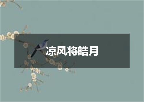 凉风将皓月
