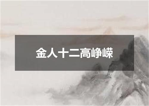 金人十二高峥嵘
