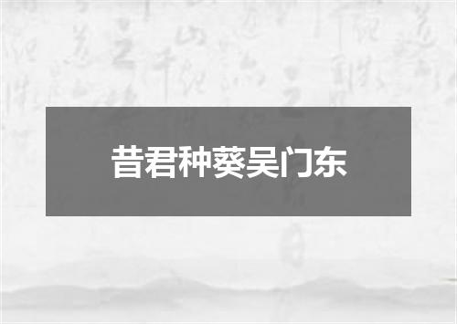 昔君种葵吴门东