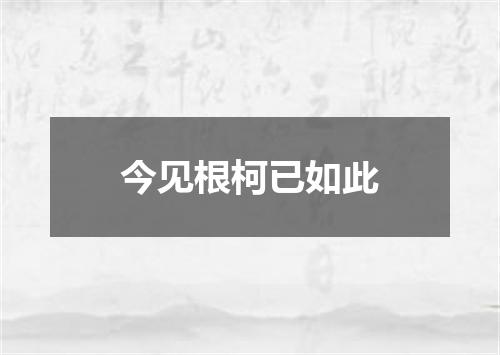今见根柯已如此