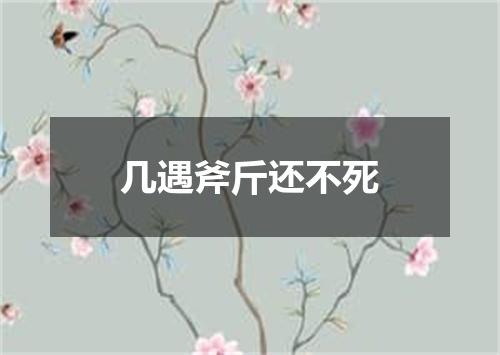 几遇斧斤还不死
