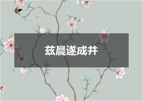 兹晨遂成并