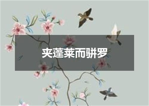 夹蓬莱而骈罗