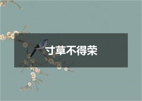 寸草不得荣