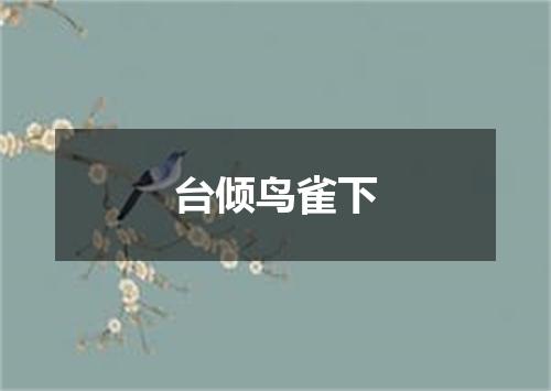 台倾鸟雀下