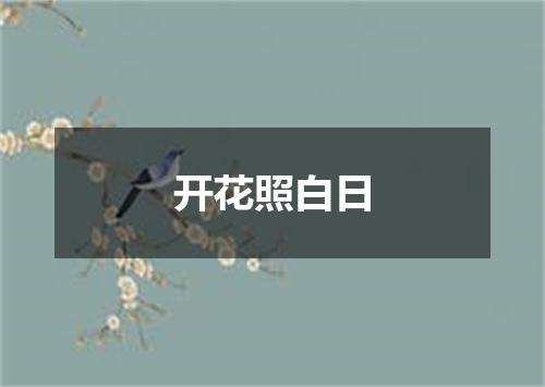 开花照白日