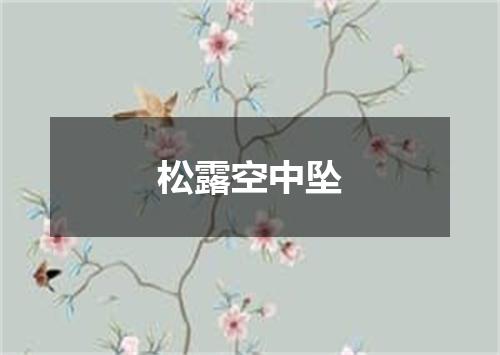 松露空中坠