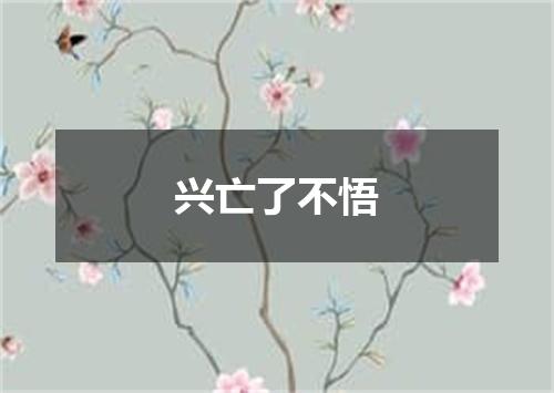 兴亡了不悟