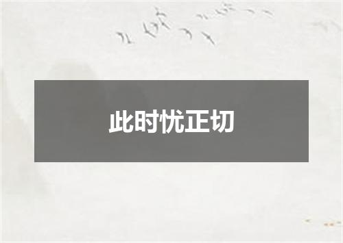 此时忧正切
