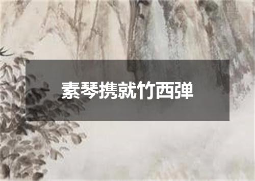 素琴携就竹西弹
