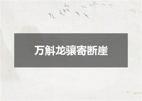万斛龙骧寄断崖