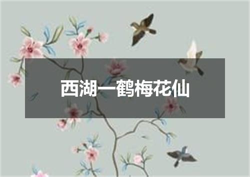 西湖一鹤梅花仙